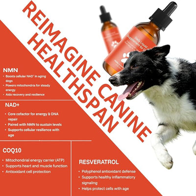 Dog Longevity Supplement NAD+ & NMN, Liposomal NAD Nicotinamide Riboside Resveratrol, Joint Health, Vitality & Healthy Aging, Easy to Give Every Day - Better Absorption, 60ML