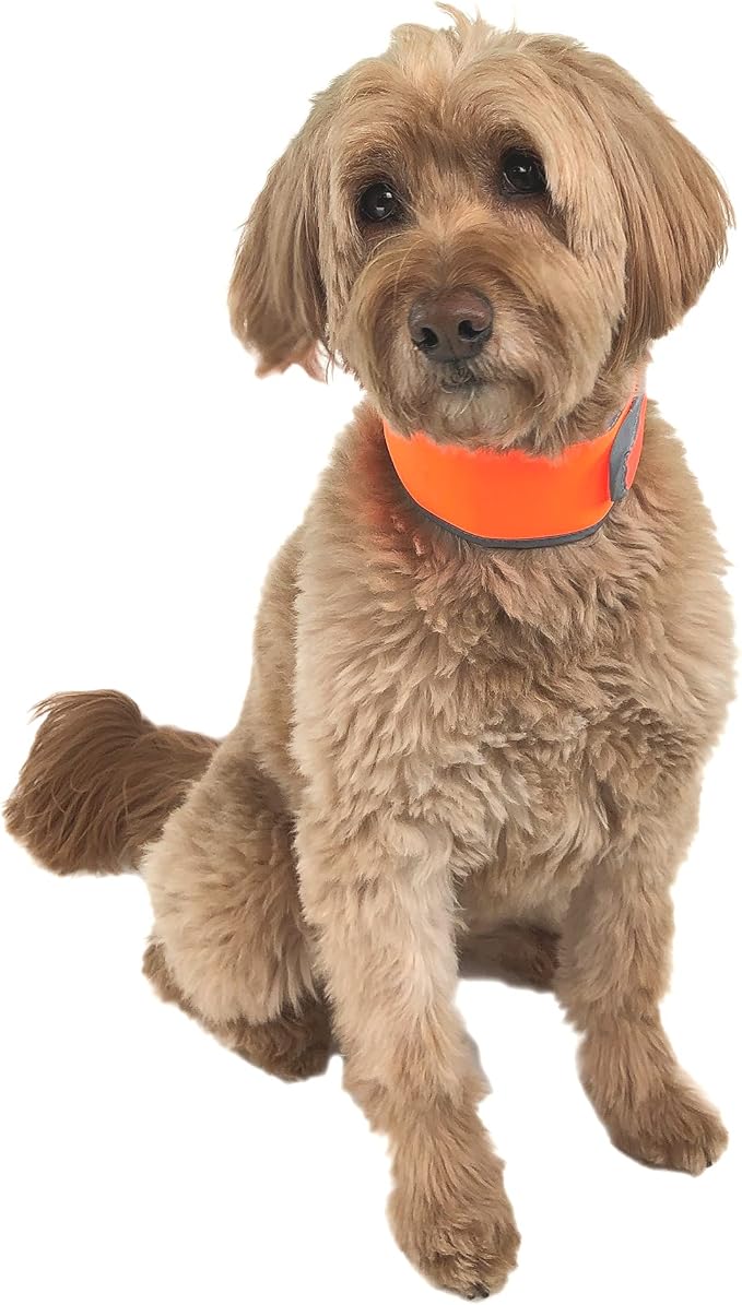 CoolerDog Hi-Vis Cooling Dog Collar for Medium Dogs – Reflective Re-Freezable Ice Collar for Hot Weather & Heat Relief (Orange, Medium)