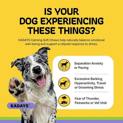 Calming Chews for Dogs -Dog Calming Chews -Anxiety and Stress Relief Treats Melatonin Sleep Aid Bites for Small/Medium/Large Dogs Calm Supplement -Separation, Fireworks, Thunder, Barking-Chicken 180ct
