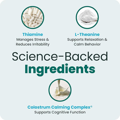 VetriScience Calm & Confident Chews, Composure Clinically Tested Calming and Anxiety Ashwagandha Supplement for Dogs, Stress Relief, Separation Anxiety, Behavior Support, Peanut Butter, 60 Count