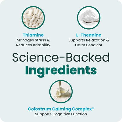VetriScience Calm & Confident Chews, Composure Clinically Tested Calming and Anxiety Supplement for Dogs, Reduce Stress and Fear, Ideal for Thunderstorms, Fireworks and Travel, Chicken, 60 Count