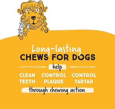 Ultra Chewy Chicken Double Treat Bones: Long-Lasting Dog Treats Made in USA for Large and Small Breeds, Highly Digestible, Ideal for Aggressive Chewers (6 Count)