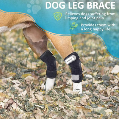 Dog Leg Braces for Rear Legs, Hock Brace for Back Legs with Metal Strips and Safety Reflective Straps for Short Legs, Joint Warps Support for Hind Legs Injuries Sprains Arthritis (Large(1Pair)