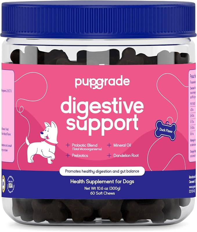 Digestive Support for Dogs - Prebiotic + Probiotic Supplement with Enzyme Blend - Gut and Immune Support - Pumpkin, Blueberry, Mineral Oil, Duck Flavor - 60 Soft Chews