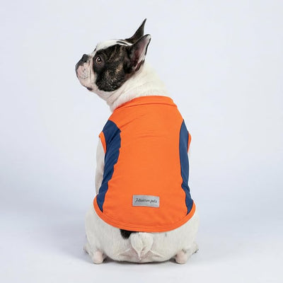 Fitwarm 2 Pack UPF 50+ UV Sun Protection Dog Shirt, Quick Dry Summer Dog Clothes for Small Dogs Boy Girl, Reflective Label, Lightweight Breathable Cooling Vest, Pet Cat Outfit, Orange, Blue, Medium