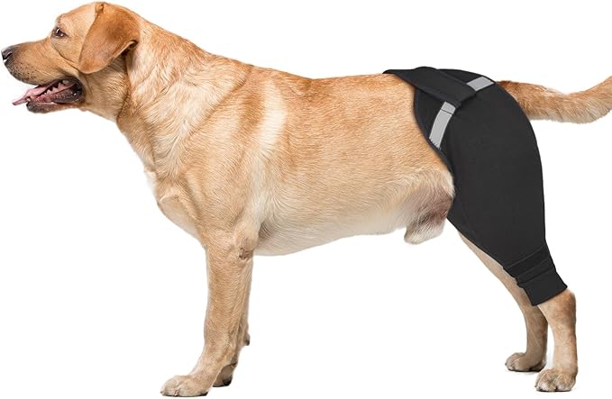 Dog Rear Leg Sleeve to Stop Licking, Upgraded Hind Leg Cover to Stop Slipping, for TPLO Surgery, Skin Conditions, Wounds, Breathable Soft Fabric, Dog Cone Alternative, Right,XL,Black