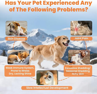 VUN Salmon Fish Oil for Dogs & Cats,Unflavored Omega 3 Oil Supplement for Itchy Dry Skin,Allergy Relief,Joints&Paws,Brain,Eyes&Heart Treatment,Wild Liquid Fish Oil by Pump with EPA DHA–16 oz