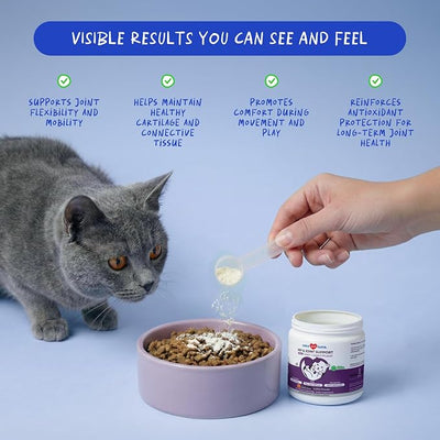 Hip & Joint Powder for Cats - Glucosamine, MSM & Green Lipped Mussel | With Glucosamine, Chondroitin, Green Lipped Mussel, MSM & Vitamin E for joint health & mobility. 4.23oz/120g.