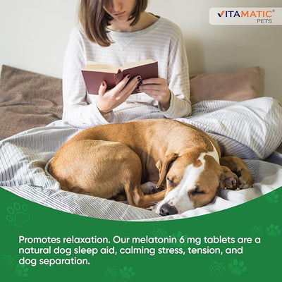 Vitamatic Melatonin for Dogs – 6 mg – 120 Chewable Tablets (Pack of 2) Beef Flavored – Natural Calming Support – Non-Habit Forming – Veterinarian Formulated