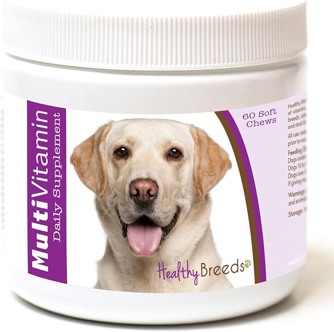 Labrador Retriever Multi-Vitamin Soft Chews 60 Count
