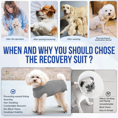 SlowTon Dog Recovery Suit - Surgery Recovery Suit for Female Male Dogs, Dog Onesie After Spay Abdominal Wounds, E-Collar Cone Alternative Prevent Licking Pet Surgical Suit(Grey,XXL)