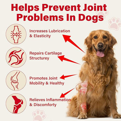 Natural Dog Pain Relief Balm with DMSO, Magnesium & Castor Oil – Supports Joint Mobility & Reduces Swelling & Discomfort, Dog Pain Relief Anti-Inflammatory Support - 60 g