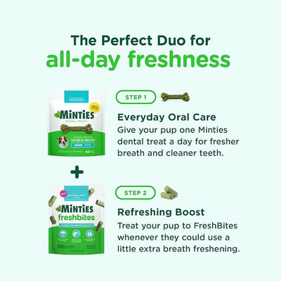 Minties Medium Dog Dental Bone Treats, 40 Count FreshBites Soft and Chewy Dental Treats for Dogs, 50 Count
