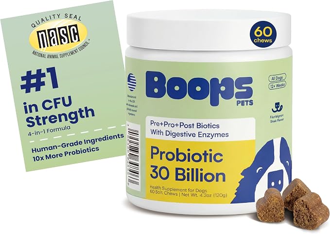 Probiotics for Dogs – 30 Billion CFU with Pre, Postbiotics & Digestive Enzymes – Supports Gut Health, Immunity, Loose Stools & Allergies – Filet Mignon Flavor – Vet Formulated – 60 Chews