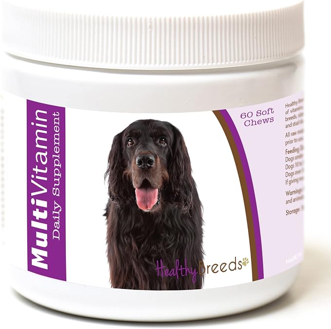 Gordon Setter Multi-Vitamin Soft Chews 60 Count