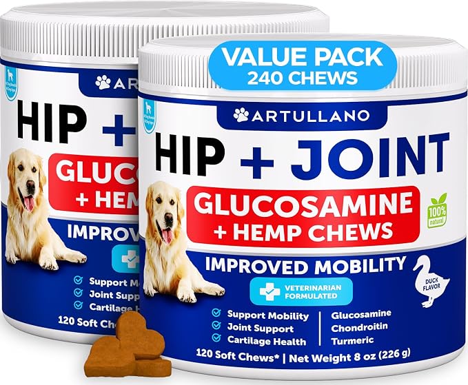 (2 Pack) Hemp Hip and Joint Supplement for Dogs - Glucosamine for Dogs Joint Pain Relief - Chews with Chondroitin, MSM, Hemp Oil - Mobility Support - Canine Cartilage Health - Made in USA