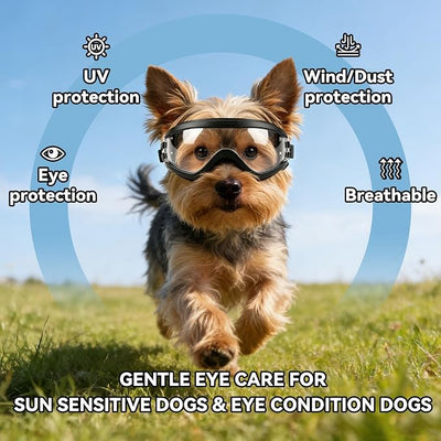Enjoying Clear Dog Goggles for Small Dogs, UV Protection Pet Sunglasses for Small Dog Breeds, Windproof Dust-Proof, Little Dog Eye Protection for Outside Cycling Driving, Adjustable Straps, Clear