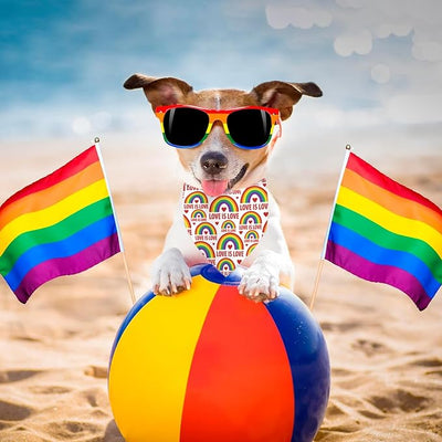 Pride Dog Bandanas Puppy Scarf - LGBT Rainbow Dog Outfits - 2 Pcs Adjustable Triangle Double-Layer Reversible Pet Bandanas for Small Medium Large Dogs Cats