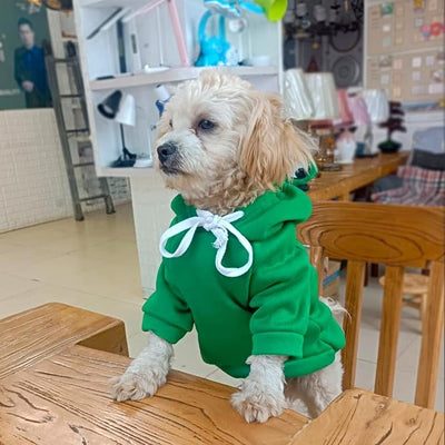 Dog Hoodie Basic Sweater Coat Cute - Frog Shape Warm Jacket Pet Cold Weather Clothes Outfit Outerwear for Cats Puppy Small Medium Dogs - Size L