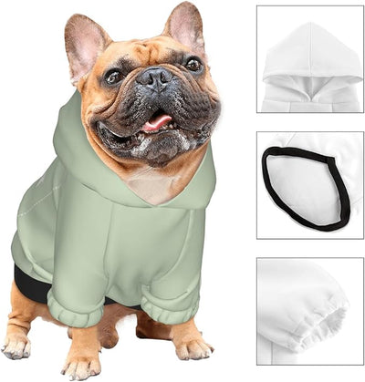 Personalized Chihuahua Dog Hoodie, Custom Pet Warm Sweatshirt Costume with Name Number Photo, Customize ID Clothes for Pupppy Kitten Dogs Cats, LightGreen, S