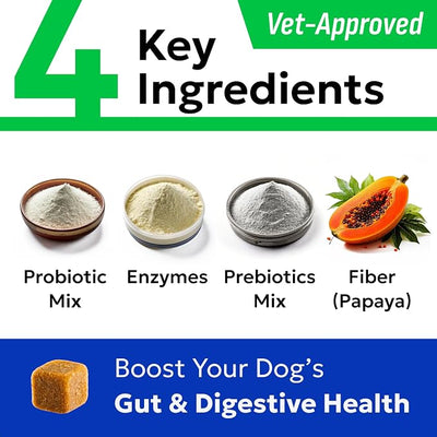 BARK&SPARK Dog Probiotics for Digestive Health & Enzymes - Diarrhea, Gas, Upset Stomach Relief & Season Allergy - Chews for Digestion - Pet Probiotics for Dogs (60Ct, Chicken)