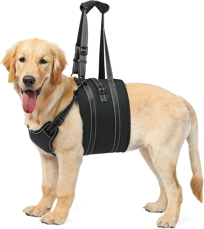 Dog Lift Harness Sling - Adjustable Pet Carrier for Senior Dogs with Arthritis Joint Injuries, Emergency Support Rehabilitation Aid for Nail Trimming, Stairs Assistance
