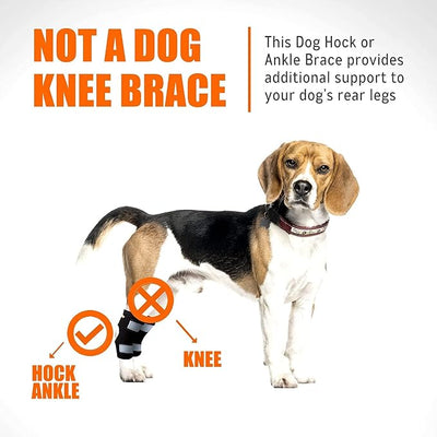 NeoAlly Dog Canine Braces for Rear Legs Super Supportive with Dual Metal Spring Inserts to Stabilize Dog Hind Legs, Help Dogs with Injuries, Sprains, Arthritis, ACL (XL Pair)