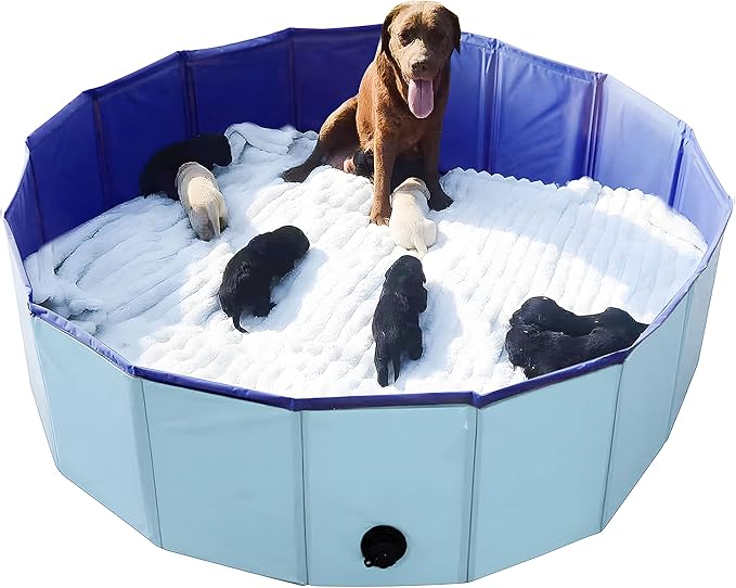 Whelping Box for Dogs Welp Box Whelping Pool,Puppy Whelping Pen for Dogs Puppies,Great for Puppies,Easy to Clean (47inch Dia.x12inch H(120x30cm), Blue)