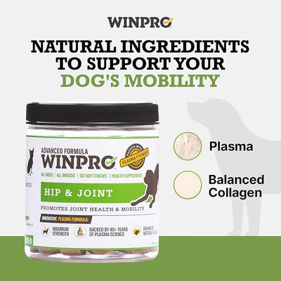WINPRO Hip & Joint Supplement for Dogs Plasma Powered Soft Chews for Joint Health & Mobility Fast-Acting with Collagen & Natural Ingredients for Dogs of All Breeds – 120 Chews (2 Canisters)