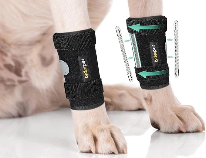 Dog Front Leg Brace Ankle Support for Forelilmb, Canine Dog Wrist Brace Splint, Protects Foreleg Carpus Joint Wounds Heals, Helps with Loss of Stability Caused by Arthritis