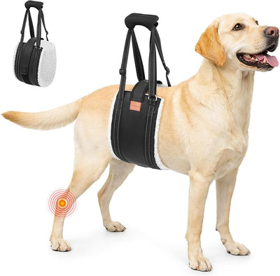 LOOBANI Dog Lift Harness for Back Legs, Portable Dog Sling for Large Dogs Hind Leg Support, Comfortable Leg Support Assistance for Elderly Dogs with Hip, ACL Brace, Senior, Injured