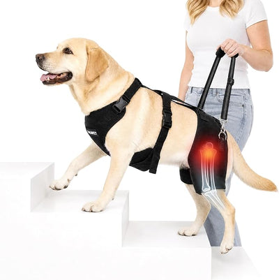BALAPET BALAPET Dog Hip Brace Support Harness with Lift Handle, Adjustable Hip Support Brace for Large Dogs, Soft Removable Hip Pads, Mobility Assistance Harness for Walking, Stairs & Car Support (L)