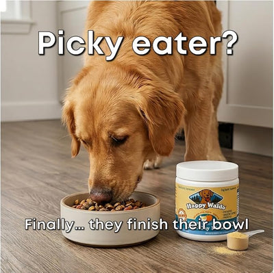 Bone Broth Dog Food Topper – Firm Stool Support, Digestion & Gut Health, Picky Eater Friendly with Pumpkin, Probiotics & Digestive Enzymes