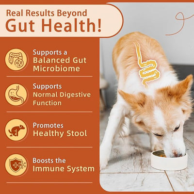 ZEBORA Probiotics for Dogs - Dog Probiotics, Pumpkin for Digestive & Gut Health, Digestive Enzymes & Prebiotic for Occasional Diarrhea, Support Immune, Skin & Allergies, 120 Soft Chews, Pumpkin Flavor