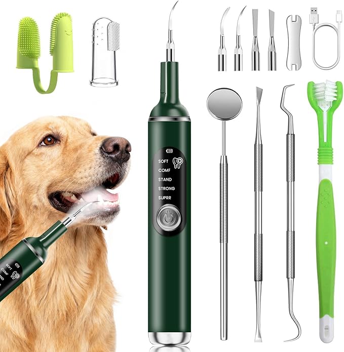Pet Ultrasonic Tooth Cleaner,Dog Plaque Remover Tool,Green | dog teeth cleaning,plaque remover for teeth,dog tartar and plaque remover,plaque off for dogs,5 Mode Pet Teeth Cleaning Kit