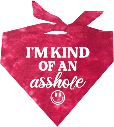I'm Kind of an As*Hole Dog Bandana | Red Scrunch | (x)