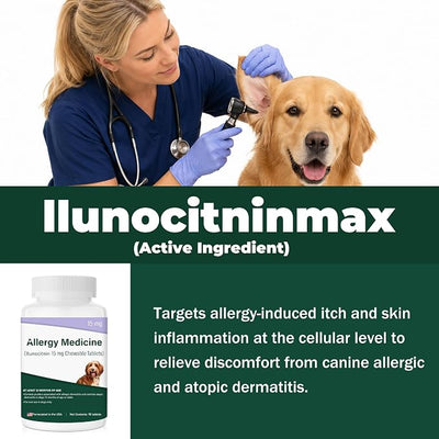 Dog Allergy Itch Relief Treatment,Fast Reduce Scratching,Paw Licking and Belly-Rubbing for Dermatitis，Atopic Skin Care Supplement for Dogs Over 12 Months Old | 15 mg | 90 Count