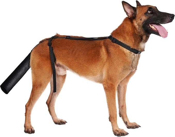 Dog Tail Protector, Dog Tail Guard for Medium Large Dogs, Adjustable Cover to Prevents Licking Wounds, Breathable Tail End Bag for Recovery (Black, L)