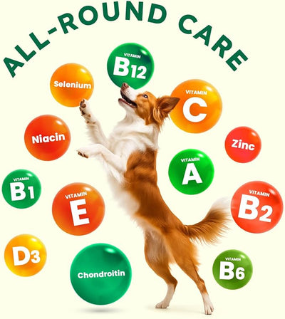 ZENO Dog Vitamins and Supplements - 150 Dog Multivitamin Chewable - Immune, Joint Support, Skin, Gut Health + Packed with Omega 3s, Glucosamine & Probiotics - Safe for Puppy - Beef