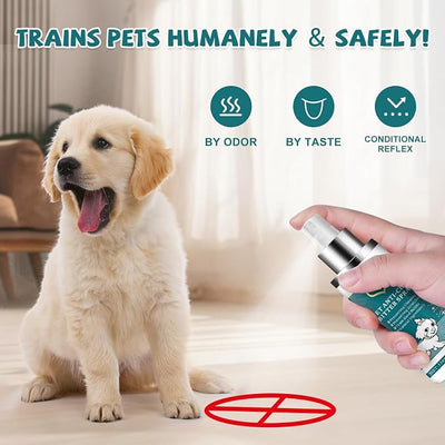 LIyun&Hang Enhanced Bitter Apple Spray for Dogs to Stop Chewing and Licking, No Chew Spray for Dogs, Stop Licking Wounds and Hot Spots, Protecting Furniture, Alcohol Free/Non-Toxic (Green) (Green)