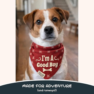 Funny Snap-On Dog Bandana for Small Medium Large Pets, Dogs Cats Adjustable Handkerchief Scarf for Girl & Boy, Cute Puppy Apparel & Accessories (I'm A Good Boy, Small)