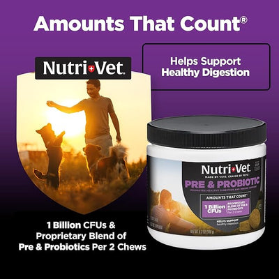 Nutri-Vet Pre & Probiotics for Dogs, Digestive Support, Upset Stomach, Puppy Probiotic, Pet Vitamins and Supplements, Dog Probiotics, Liver & Cheese Flavor, 120 Soft Chews
