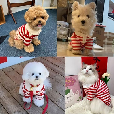 MANON ROSA Dog Clothes, Designer Boy Polo Shirt for Small Medium Dogs, Soft Puppy Outfit, Breathable Male Yorkie Chihuahua Shih Tzu Poodle Kitten Cat T-Shirt, Birthday Gifts - Red, M, Fit 5.5-8.8lbs