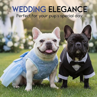 ASENKU Dog Dress Pet Wedding Dress Princess Lace Puppy Birthday Party Outfit Formal Apparel Girl for Small Medium Dogs Cats (XX-Small, Blue)
