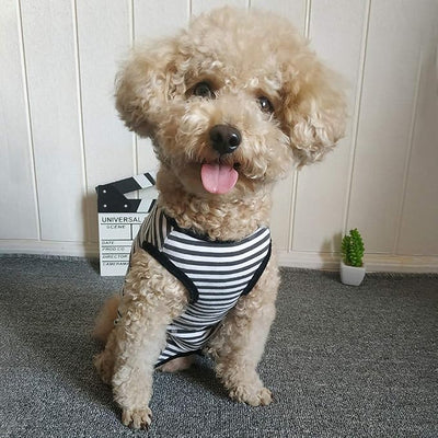 Dog’s Recovery Suit Post Surgery Shirt for Puppy, Wound Protective Clothes for Little Animals(Black White Stripe-XXS)