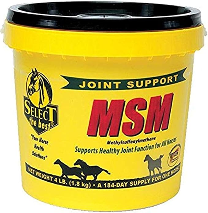 RICHDEL 784299400405 Msm Powder Joint Support for Horses, 4 lb