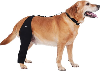 Dog Recovery Sleeve Back Leg Breathable Material,Dog Leg Sleeve to Stop Licking and Biting Firm and Secure, Adjustable Size, Comfortable Alternative to Cone Collars (XLarge, Single Leg)