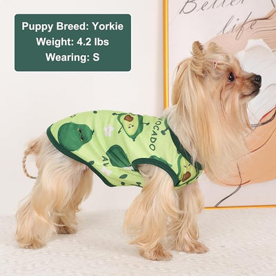 Dog Shirt Vest Dog Clothes for Small Dogs Boy Girl Stretchy Summer Puppy T-Shirts Soft Breathable Lightweight Puppy Sweatshirt Pet Cat Outfit (Avocado, Medium)