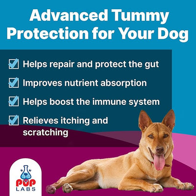 Pup Labs K9 Belly Bliss, All-Natural Gut Health for Dogs, Vet Approved Prebiotic for Dogs for Daily Digestive Support & Dog Constipation Relief, Topper for Dry & Wet Food, 3 Pack with 30 Scoops Each.