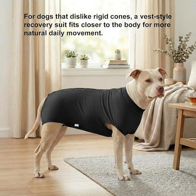 LovinPet Dog Recovery Suit, Snap-Back Post-Op Onesie for Large Dogs, Post-Spay Bodysuit for Female Dogs with Cushioned Belly Panel, Black, XXL